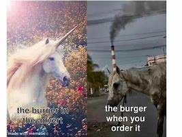 Image result for Female Unicorn Meme