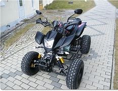 Image result for Bashan 250 Quad