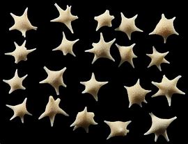 Image result for Star Sand Beach Guam