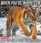 Image result for Shinji Bench Press Meme