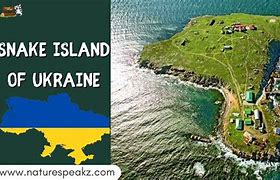 Image result for Snake Island Ukraine