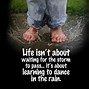 Image result for Cat Rain Quote