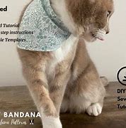 Image result for Cat Bandana Pattern