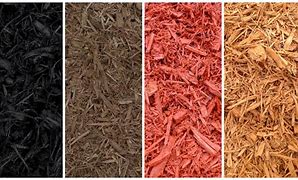 Image result for Mulch Pics