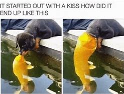 Image result for Y U No Kiss Memes