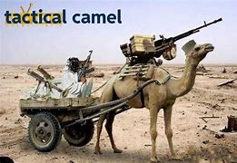 Image result for Tactical Camel