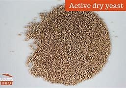 Image result for Active Tdry Yeast