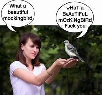 Image result for Look a Mockingbird Meme