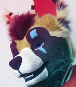 Image result for Coyote Harey