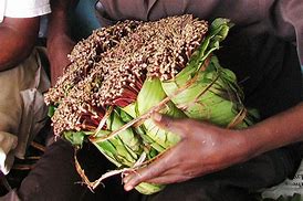 Image result for Miraa Plant