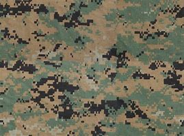 Image result for Modern Marine Camo