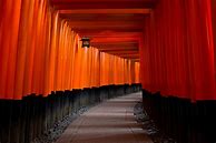 Image result for Kyoto Pictures