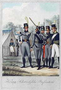 Image result for Swedish Napoleonic Uniforms