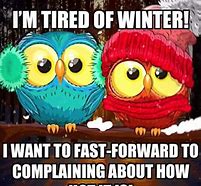 Image result for Funny Cold Morning Pics