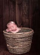 Image result for Anne Geddes Baby Photos