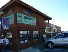 Image result for Morro Bay Aquarium