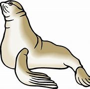 Image result for Sea Lion Sign Free Clip Art