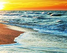 Image result for Landscaped Path Beach