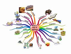 Image result for 3Rs Mind Map