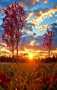 Image result for Sunny Morning Bing Wallpaper