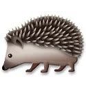 Image result for Hedgehog Emoji