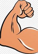 Image result for Muscle Clip Art Free