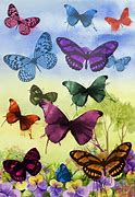 Image result for Watercolor Butterfly