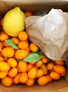 Image result for Candied Kumquat Walnut Cake