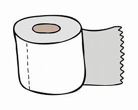 Image result for Toilet Paper and Cleaning Supplies