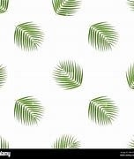 Image result for Coconut Leaf Kites