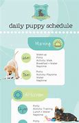 Image result for Puppy Schedule 18 Weeks