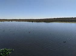 Image result for Cattail Marsh Beaumont TX