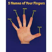 Image result for Finger Labels