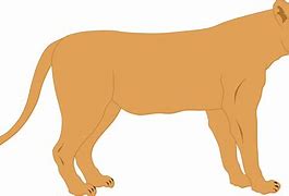 Image result for Mother Lioness