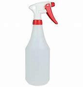 Image result for Setting Spray Large Bottle