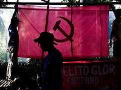 Image result for CPP-NPA Symbol