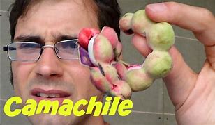 Image result for Camachile Trews