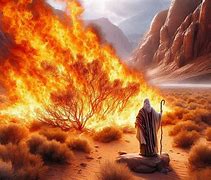 Image result for moses burning bush