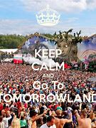 Image result for Tomorrowland Concertgoers