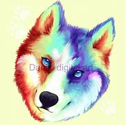 Image result for Rainbow Husky