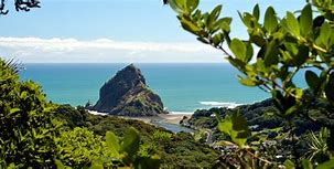 Image result for West Auckland Beaches