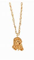 Image result for Capricorn Necklace