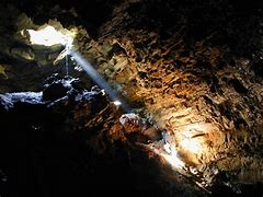 Image result for Cave Goat