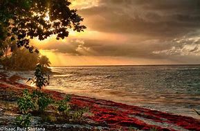 Image result for Isla Mona Puerto Rico