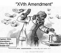 Image result for 17th Amendment Cartoon