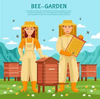 Image result for Honey Beekeeping