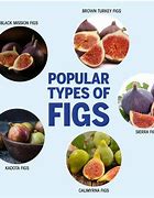 Image result for Dry Fig Calories