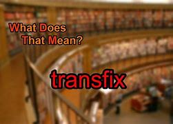 Image result for Transfix Examples