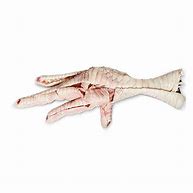 Image result for Chicken Feet Bones