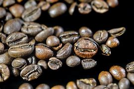 Image result for Foggle Dark Coffee Beans